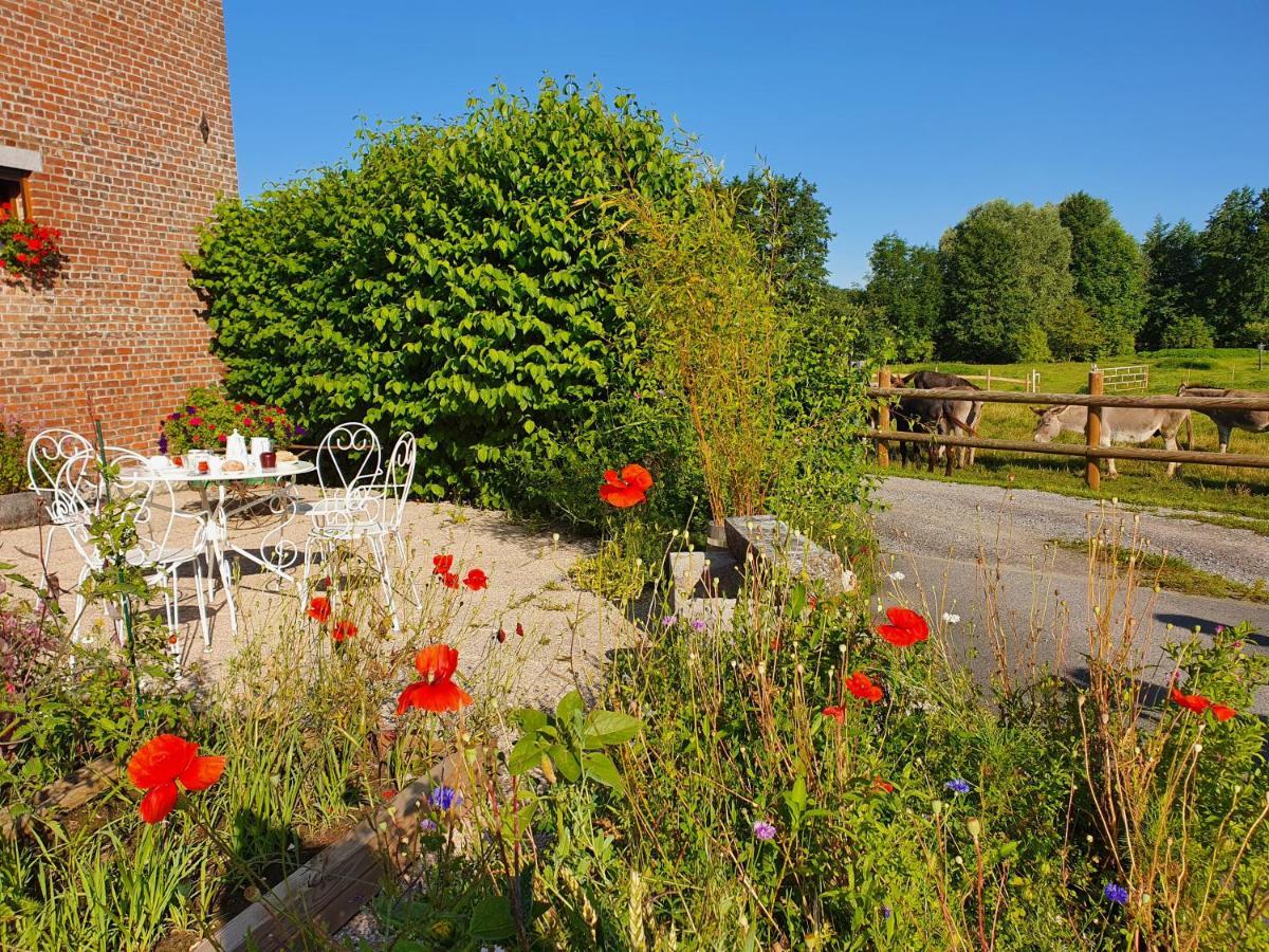 Les Mout'Anes Bed & Breakfast Saint-Hilaire-sur-Helpe Luaran gambar