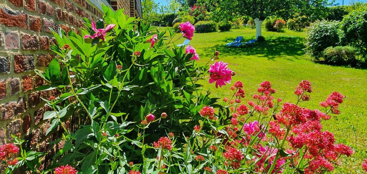 Les Mout'Anes Bed & Breakfast Saint-Hilaire-sur-Helpe Luaran gambar
