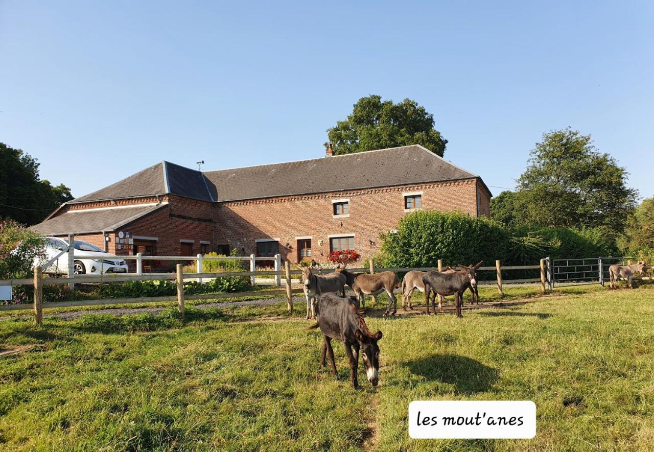 Les Mout'Anes Bed & Breakfast Saint-Hilaire-sur-Helpe Luaran gambar