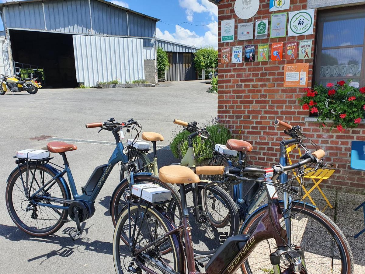 Les Mout'Anes Bed & Breakfast Saint-Hilaire-sur-Helpe Luaran gambar