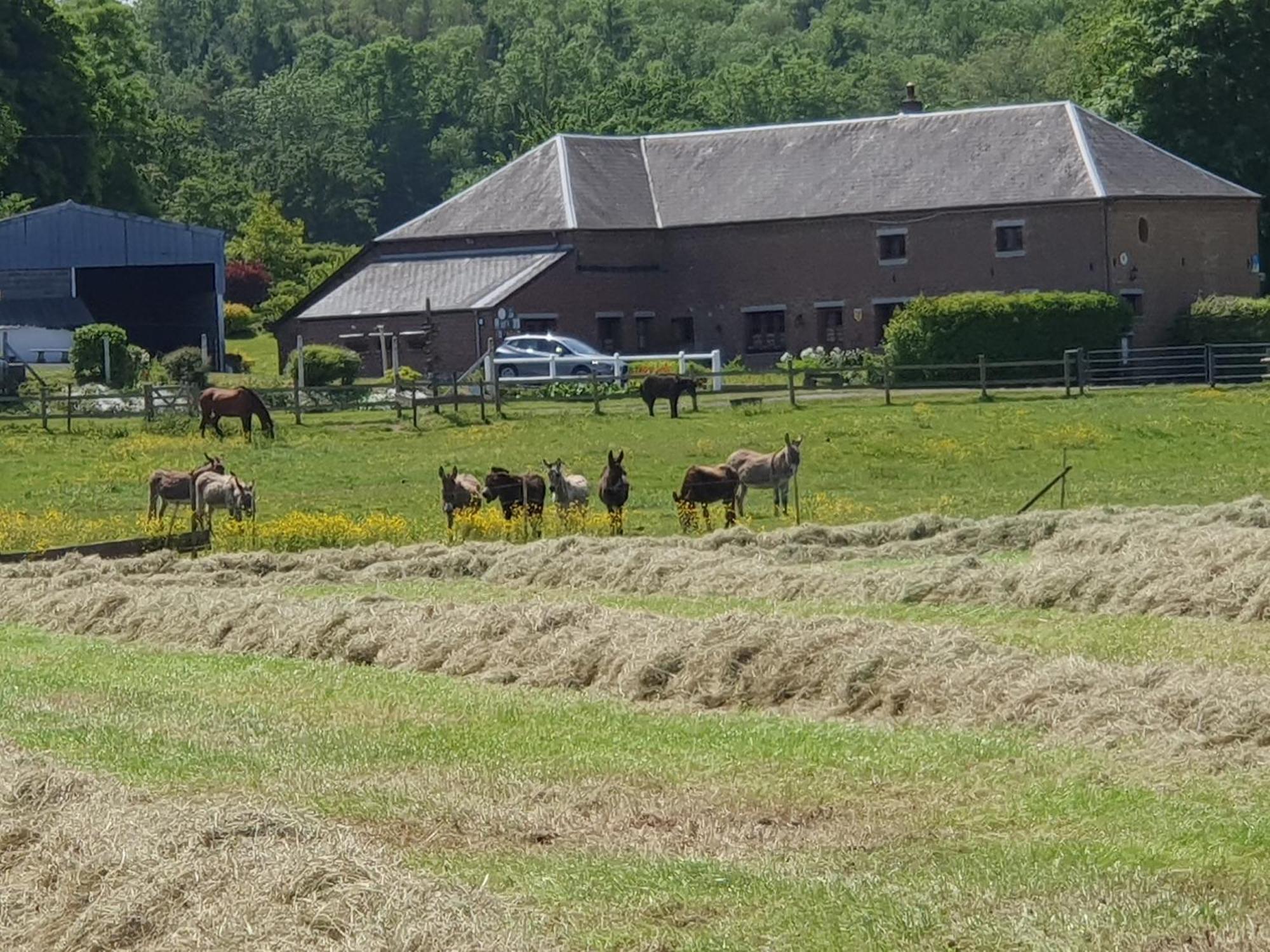 Les Mout'Anes Bed & Breakfast Saint-Hilaire-sur-Helpe Luaran gambar