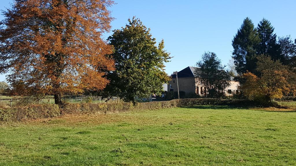 Les Mout'Anes Bed & Breakfast Saint-Hilaire-sur-Helpe Luaran gambar