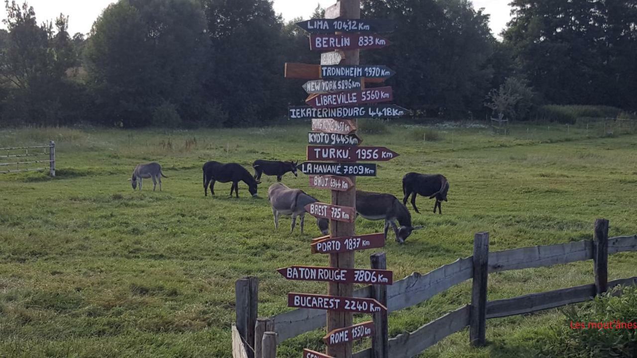Les Mout'Anes Bed & Breakfast Saint-Hilaire-sur-Helpe Luaran gambar