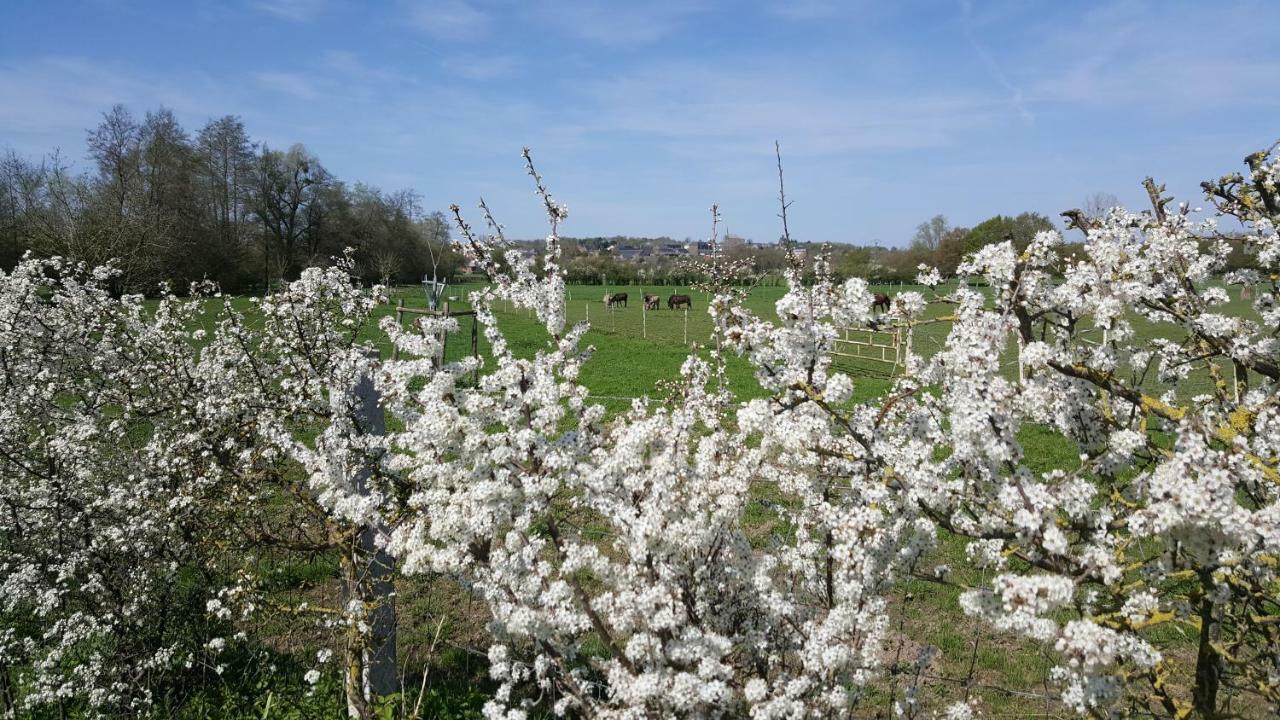 Les Mout'Anes Bed & Breakfast Saint-Hilaire-sur-Helpe Luaran gambar